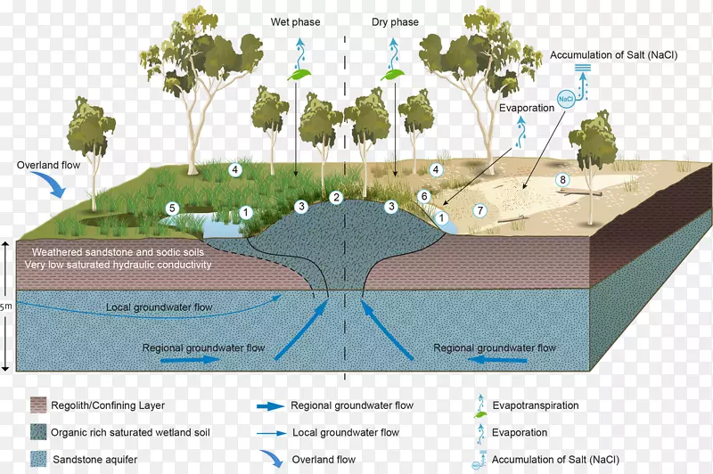 湿地地下水相关生态系统含水层水资源.物质科学
