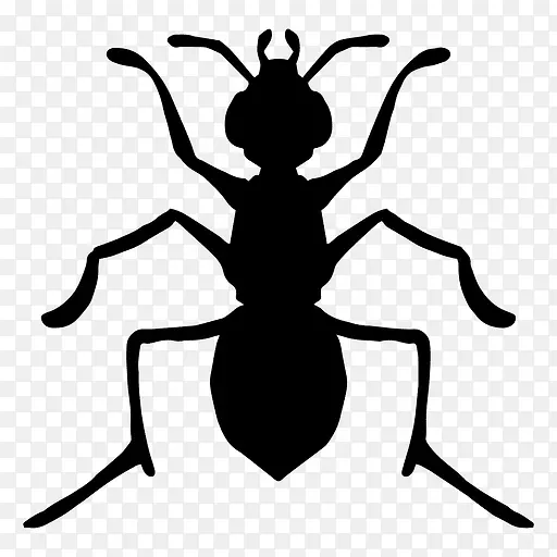 三力剪影蚂蚁昆虫
