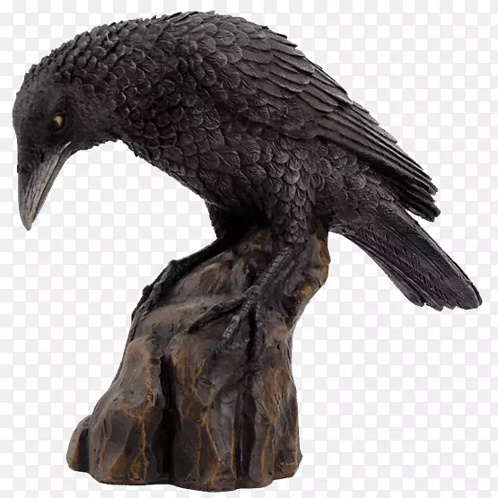 雕像雕塑乌鸦普通乌鸦栖息乌鸦覆盖层