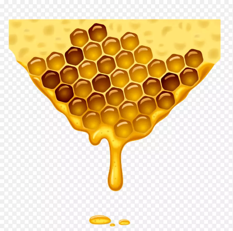 蜜蜂蜂巢-蜜蜂载体