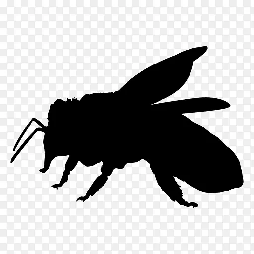欧洲黑蜂昆虫传粉器剪贴画-蜜蜂载体