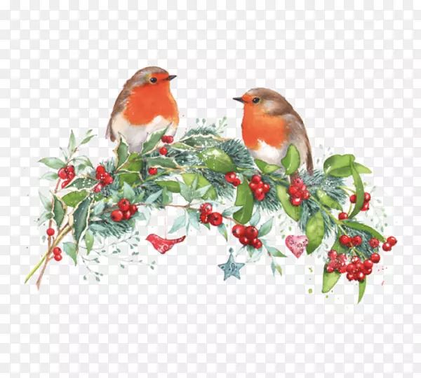 圣诞知更鸟画许愿树