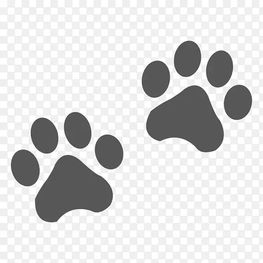 熊猫，动物足迹，爪子-猫足迹