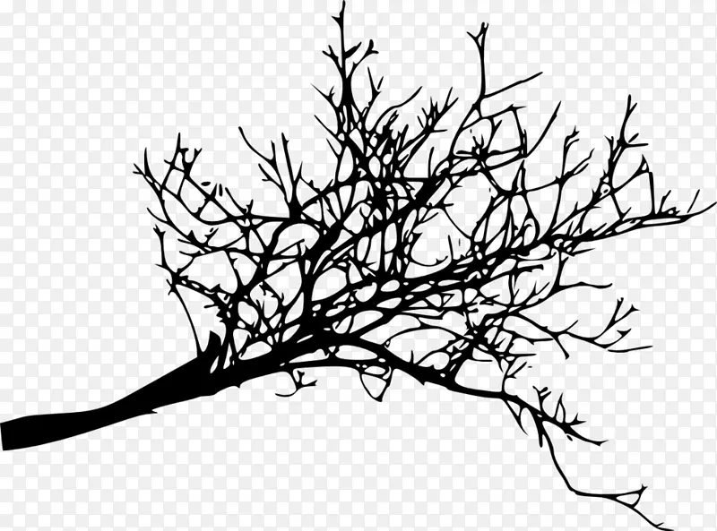 树枝，木本植物-黑白花，树枝装饰背槽
