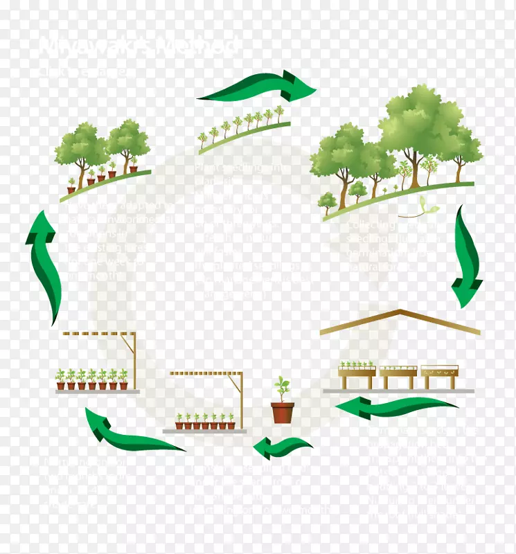 植树造林项目-森林管理-环境海报