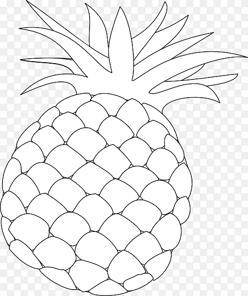 菠萝画片艺术-夏威夷