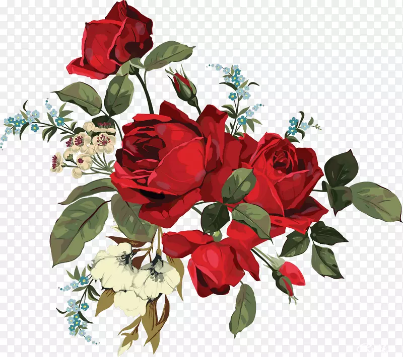 花园玫瑰插花艺术-迷人的玫瑰