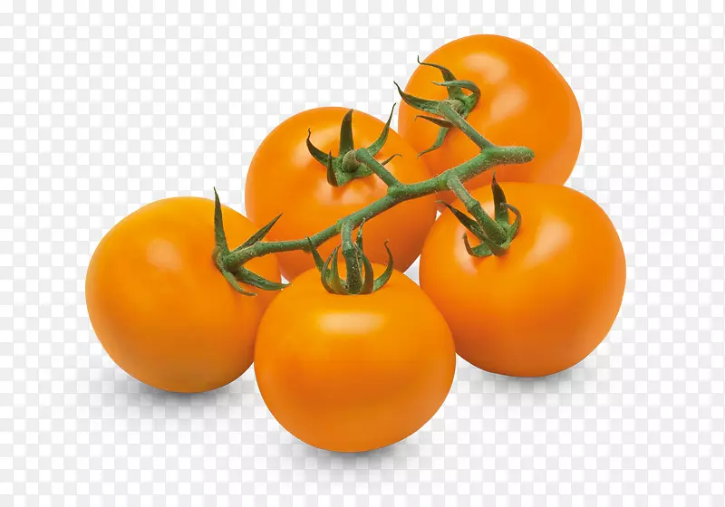 樱桃番茄传家宝番茄蔬菜橙品种樱桃番茄