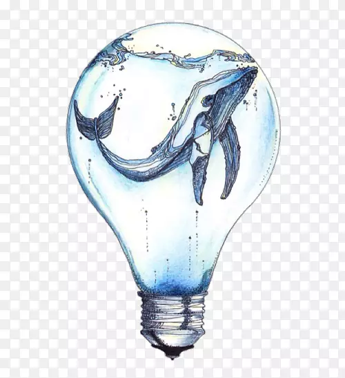 白炽灯泡鲸画艺术.水彩画海洋