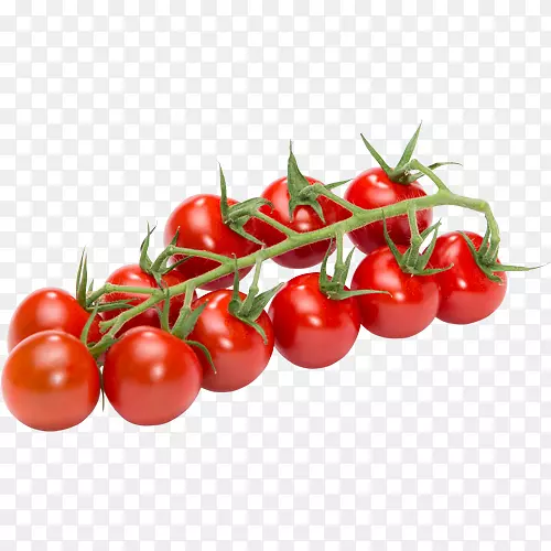 李子番茄蔬菜坎帕里番茄樱桃番茄-樱桃番茄