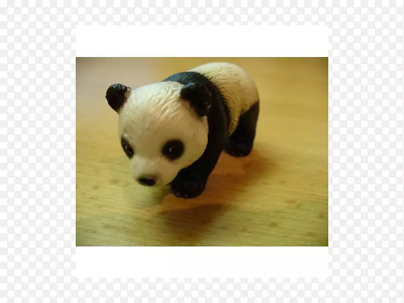 大熊猫熊食肉动物&可爱的玩具-熊猫宝宝