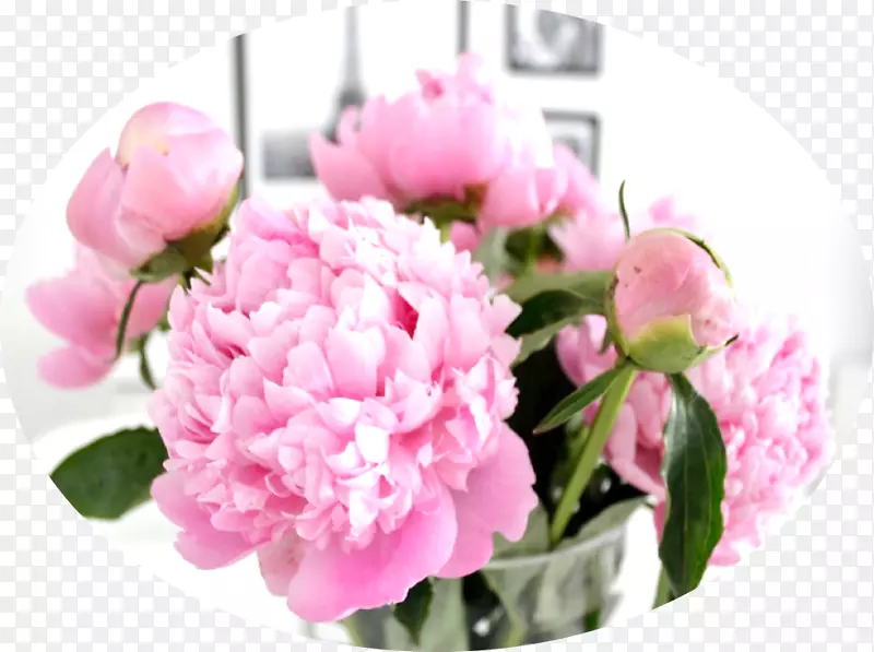 切花花卉设计植物-粉红牡丹