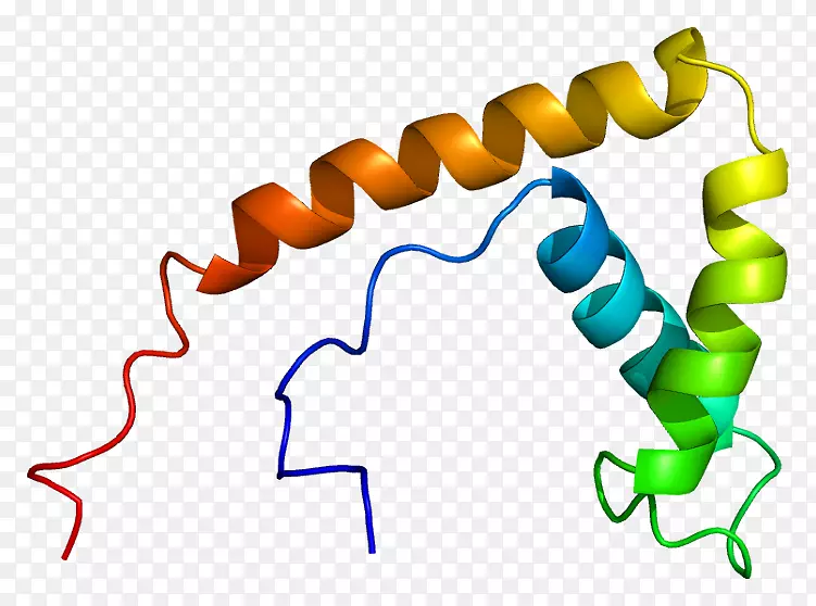 HMGB 1高迁移率组蛋白染色质细胞表面