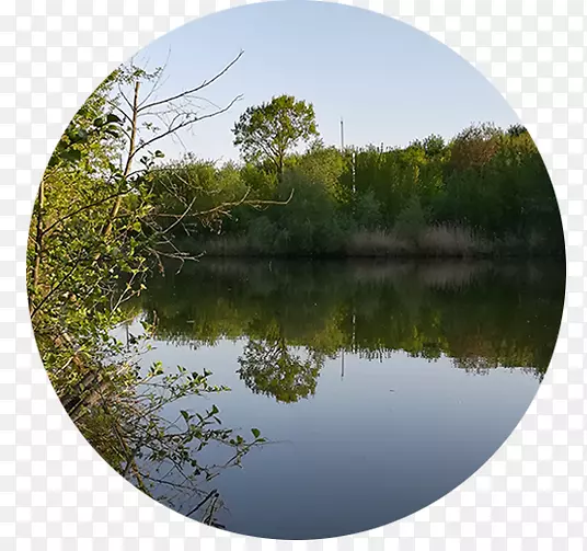 湿地池塘沼泽生态系统沼泽营