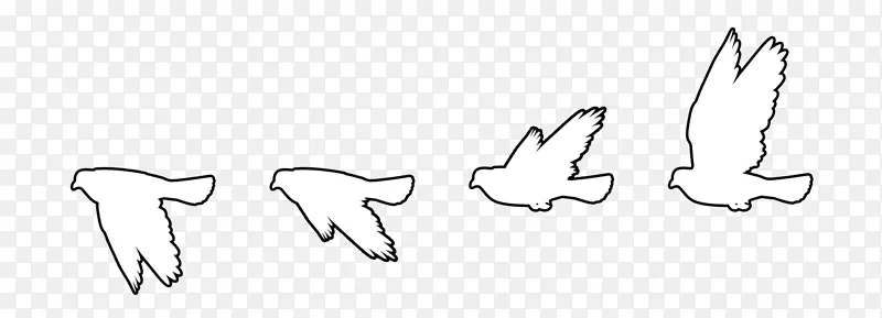 鸟类飞行壁虎夹艺术-白色运动