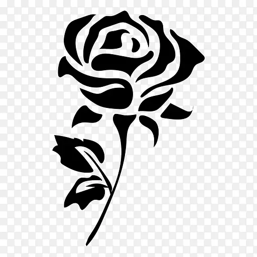 花轮廓画玫瑰-开花