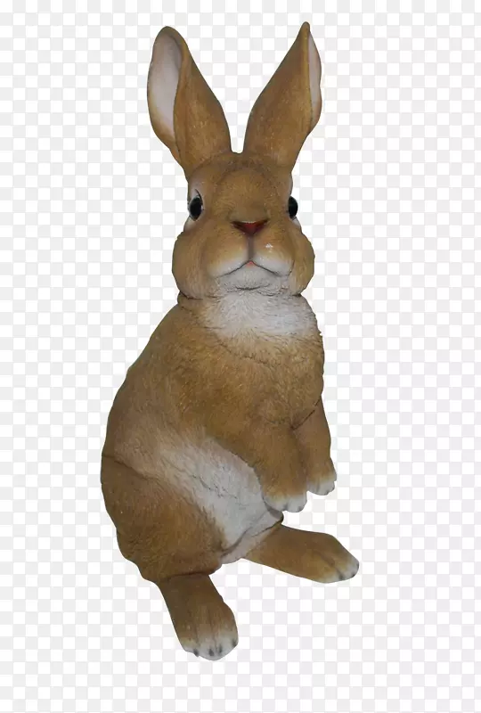 荷兰兔肉装饰动物-生动