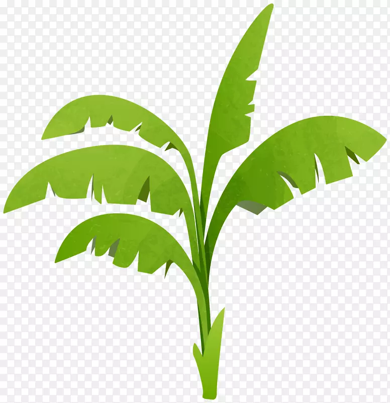 植物剪贴画-vera