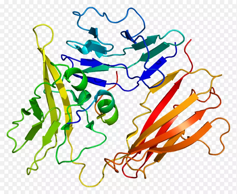 白细胞介素-1家族白细胞介素-1受体Ⅰ型白介素-1受体拮抗剂IL1a-生物