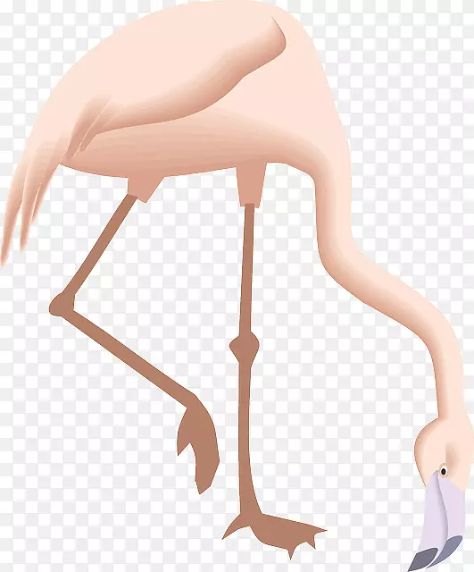 Flamingo剪贴画-弯曲