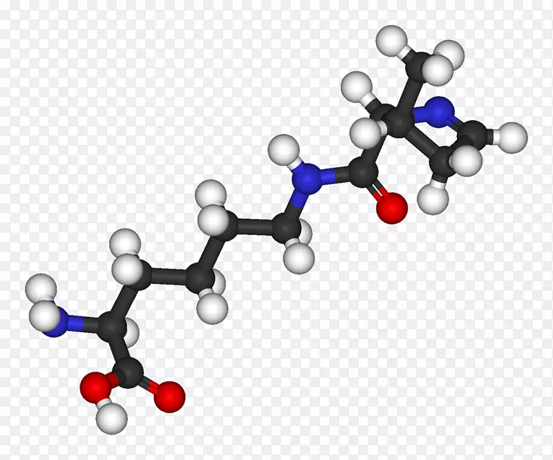 吡咯赖氨酸氨基酸终止密码子甲烷原遗传密码-蛋白质