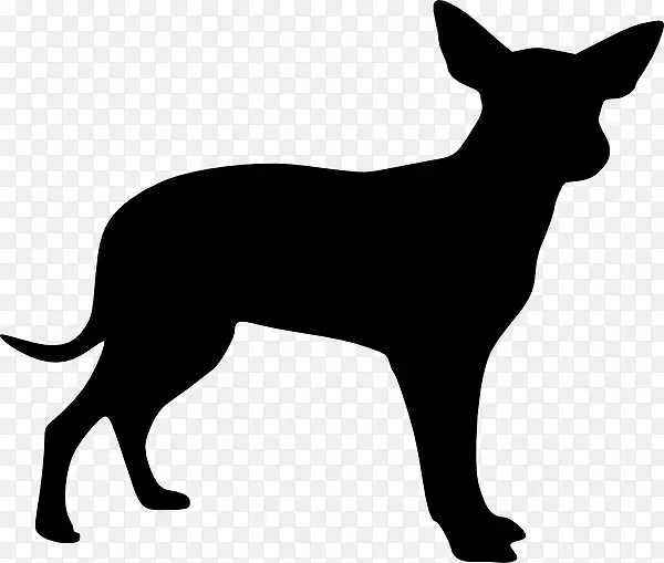 吉娃娃拉布拉多猎犬苏格兰猎犬-澳大利亚牧羊犬