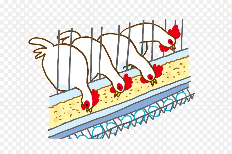 家禽养殖图剪贴画-鸡场