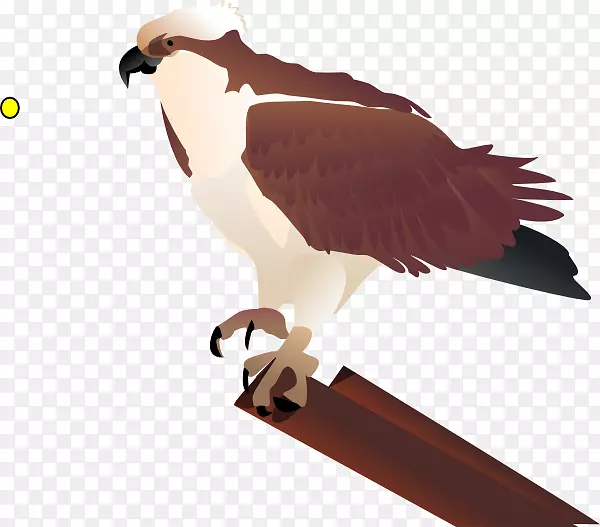 鸟类海鹰剪贴画-长颈鹿卡通