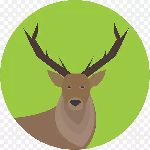 白尾鹿、麋鹿、驼鹿电脑图标.麋鹿