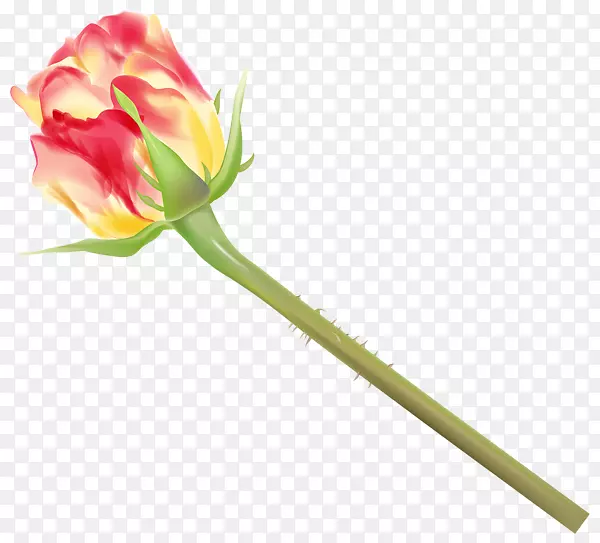 花蕾婚礼