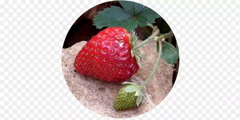 草莓食品果汁早餐-真正的草莓