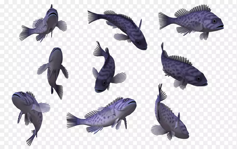 金鱼三维计算机图形剪辑艺术-深海