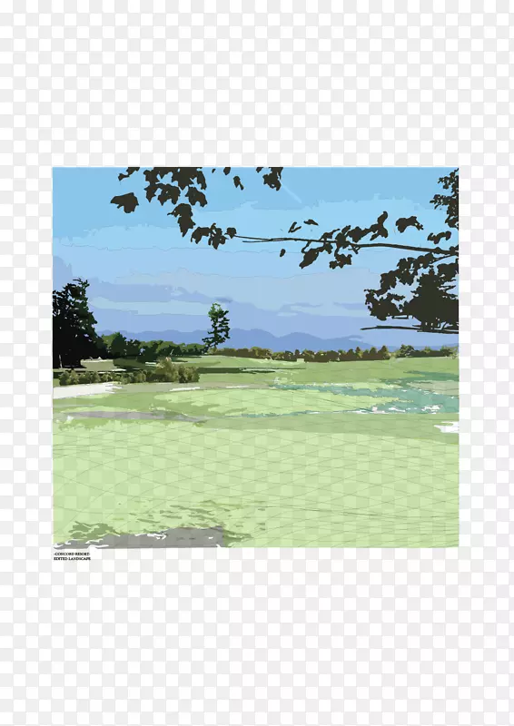 高尔夫球场高尔夫设备高尔夫俱乐部生态系统景观建筑