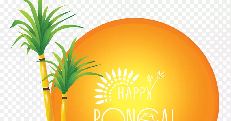 泰国Pongal makar Sankranti-PSD分层