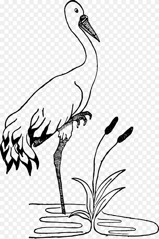 鹤鸟池鸟巢夹艺术-白鹤