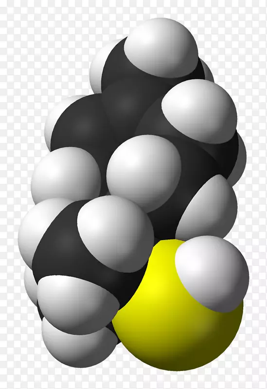 硫醇烃石油有机化学脂肪族化合物-柚子