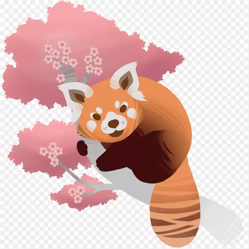 脊椎动物犬科-红熊猫