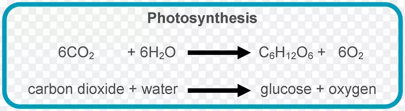 光合作用方程叶绿体光依赖反应共生化学反应