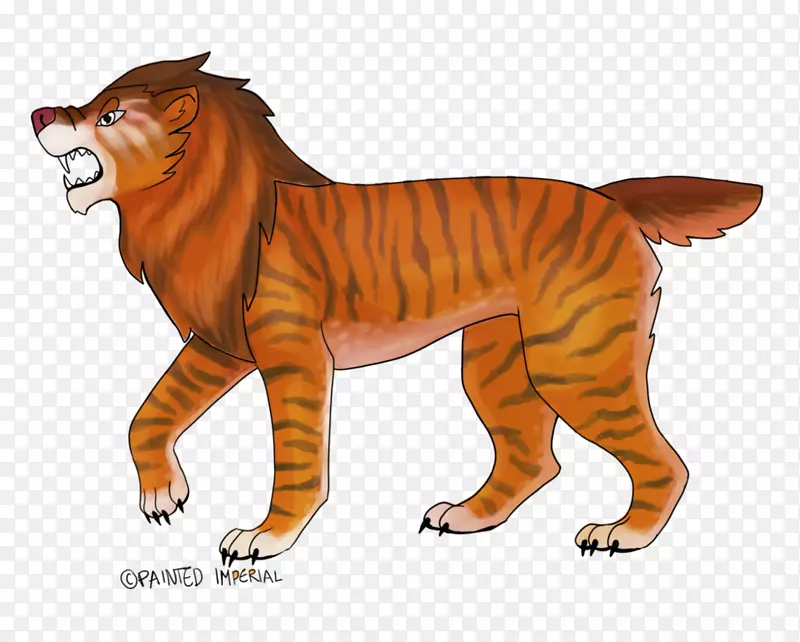 猫虎狮食肉动物画的狮子