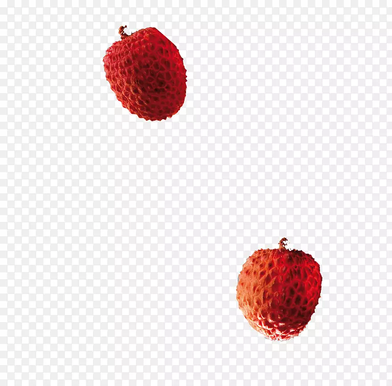 草莓辅助水果食品-荔枝