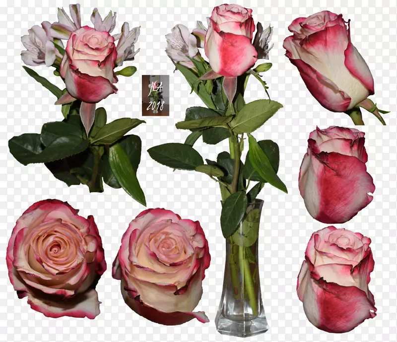 切花花卉设计花园玫瑰艺术生日花