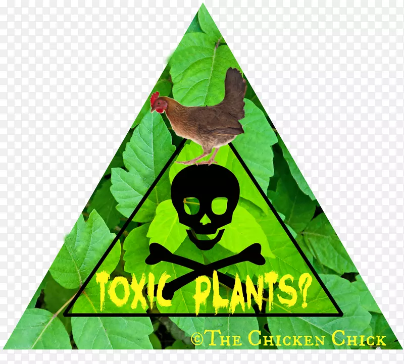 苏塞克斯鸡舍城市养鸡场用鸡：你和你的母鸡自由种植的计划和植物-有机植物。