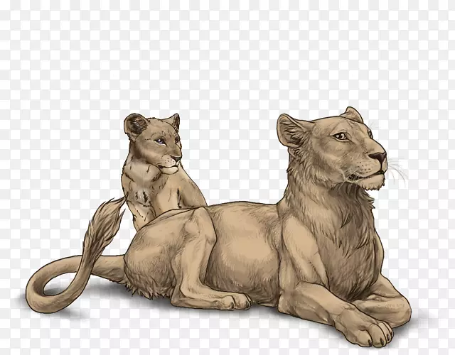 狮子豹美洲豹猫科-个性化装饰