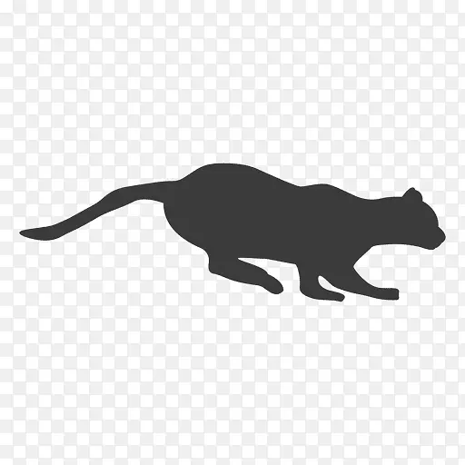 猫袋鼠动物尾巴剪贴画序列