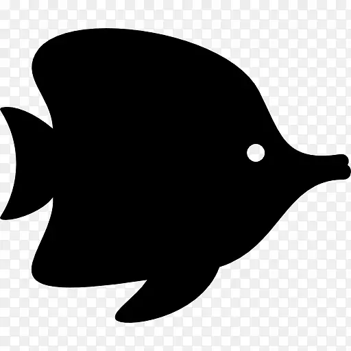 金鱼热带鱼剪贴画-热带鱼