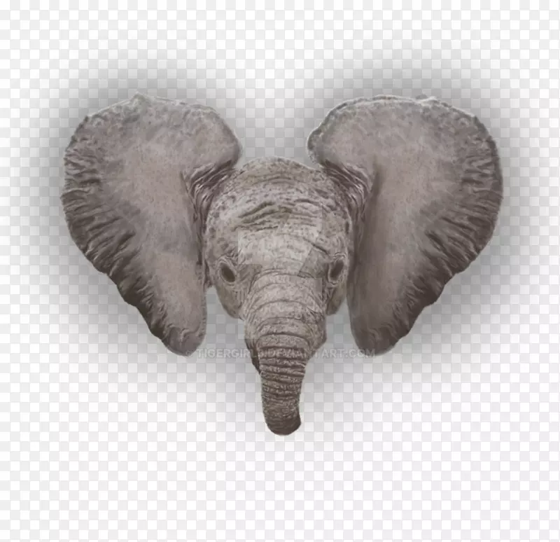 非洲象印度象陆生动物象头