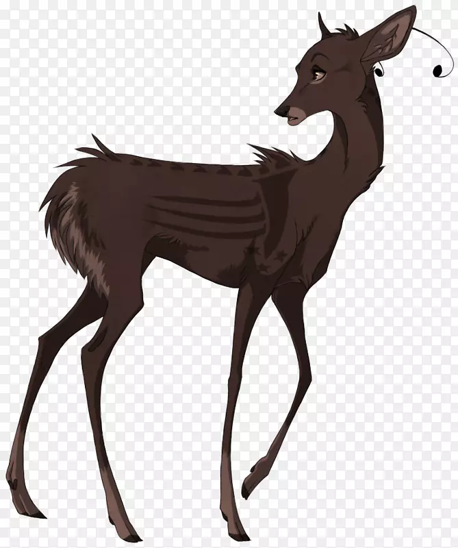 驯鹿麝香鹿麋鹿白尾鹿灌木丛麋鹿