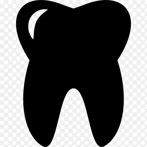 磨牙人牙科学.牙齿