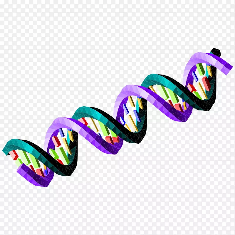 核酸序列dna生物信息学绿色剪贴画双螺旋