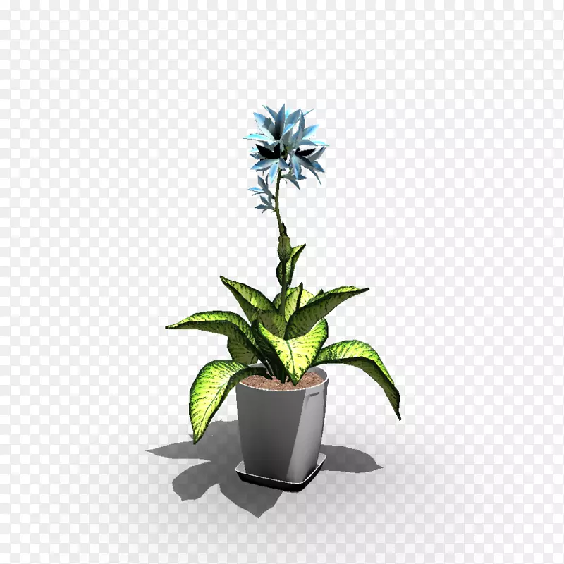 室内花盆室内植物花瓶